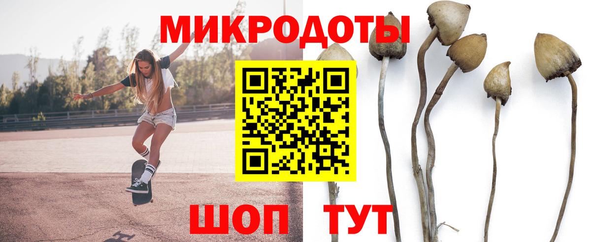 Псилоцибиновые грибы GOLDEN TEACHER Солнечногорск