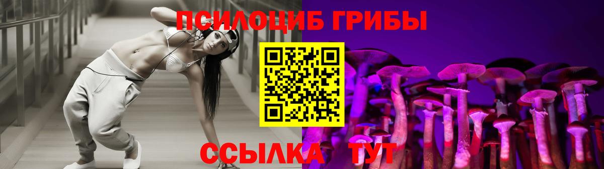 где продают наркотики  Псилоцибиновые грибы прущие грибы  Вход с VPN  Солнечногорск 